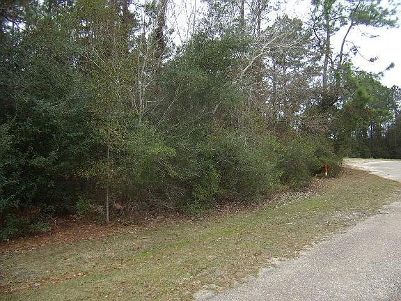 4th image of Shamrock Dr