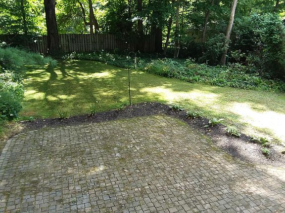 41 Olive, patio & back yard