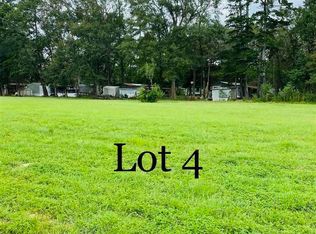 11165 Comeaux Ln, Denham Springs, LA 70726