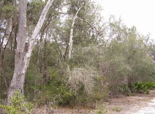 10723 E Carr Ln, Inverness, FL 34450