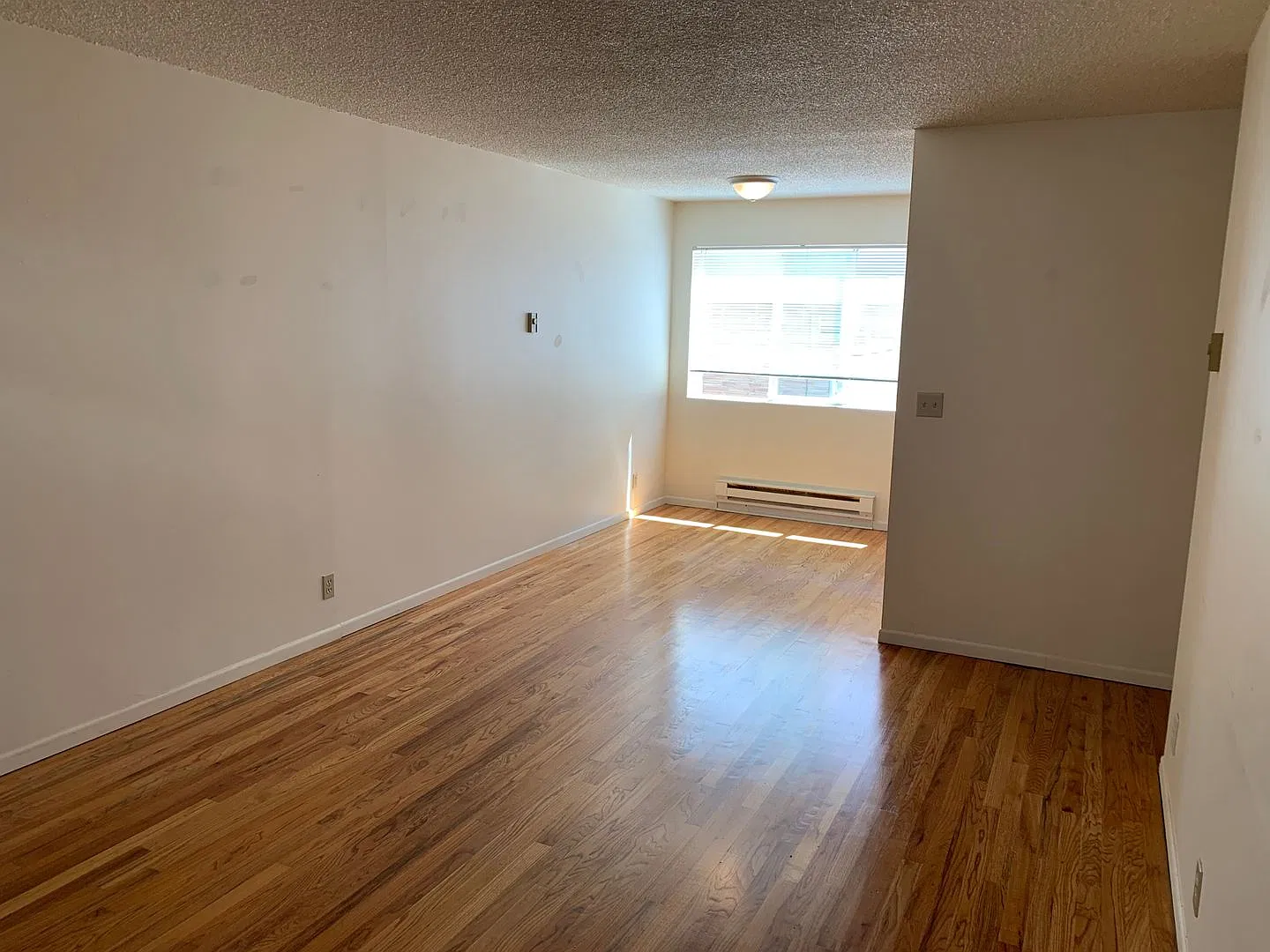 6727 24th Ave NW — Photo 3