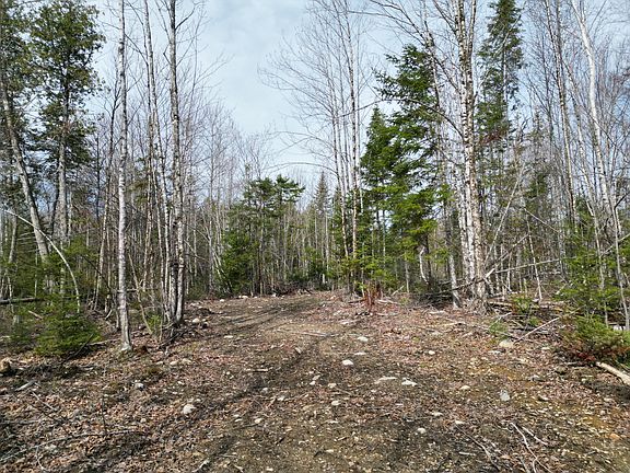 4th image of Lot 1 Moores Road