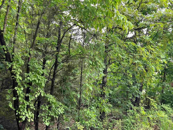 0 Highway 63 N, Mammoth Spring, AR 72554