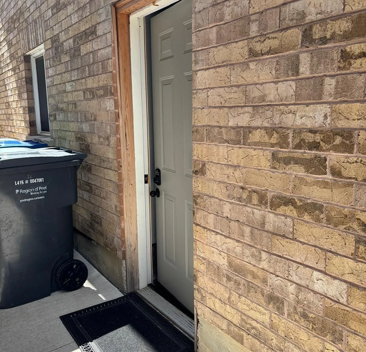 1 bed, $1,500 — Photo 4