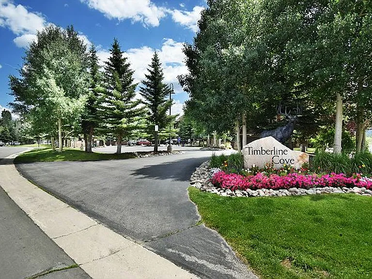 1101 9000 Divide Rd #202 — Photo 33
