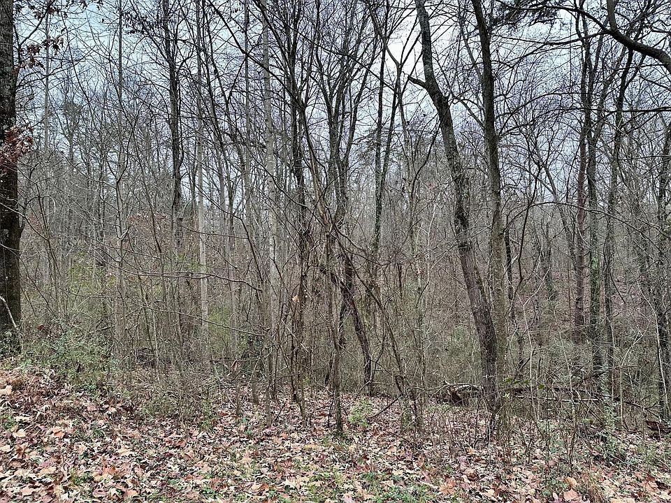 1st image of 310 Brumlow Hollow Rd