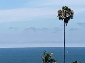 370 Palos Verdes Blvd, Redondo Beach, CA