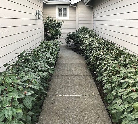 3rd image of 16910 River Rock Dr