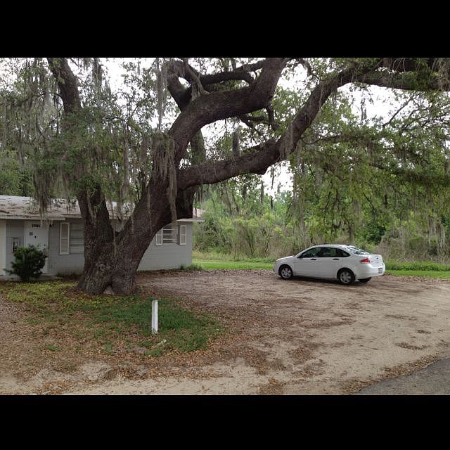 1st image of 37223 Marlu Ln