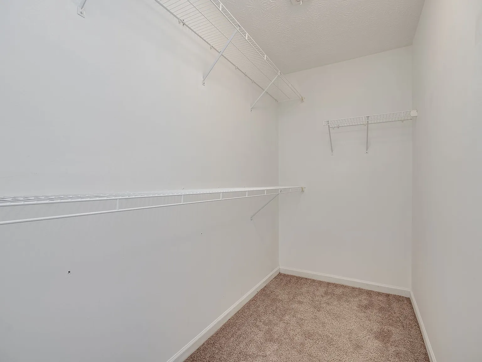 4 bed, 2.5 bath, 1984 sqft, $2,500 — Photo 4