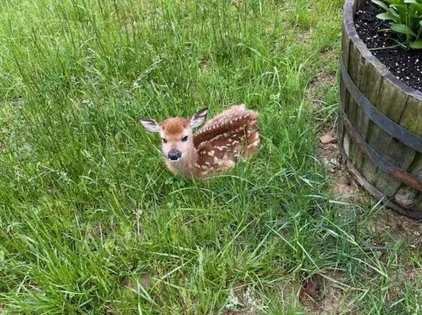 752 Poling Rd, Montrose, WV 26283