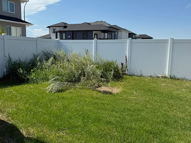 208 Barrett St — Photo 5