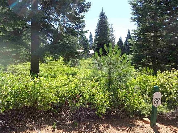 4th image of 143 Fox Pine Dr