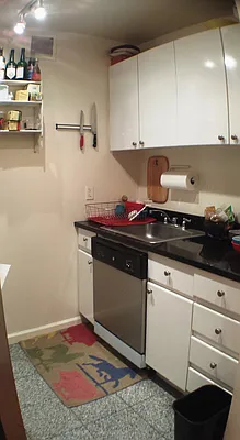 Rented by Halstead Real Estate | media 47