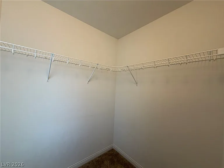 7869 Tyrell Peaks St — Photo 28