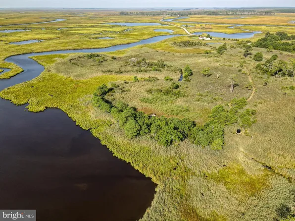 Griffith Neck Rd, Cambridge, MD 21613