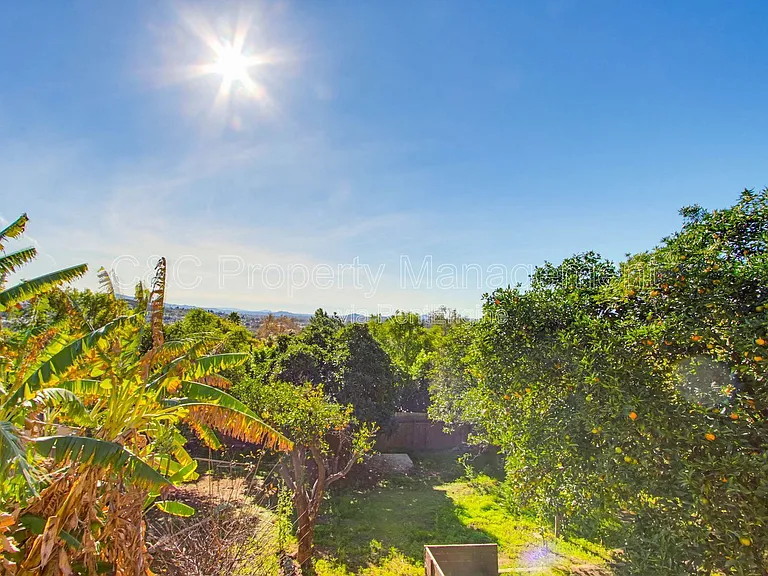 25147 Jack Rabbit Acres — Photo 31