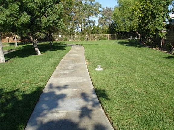 Park walkway 