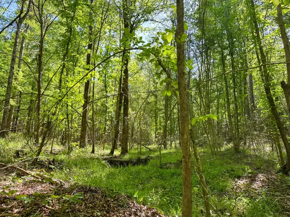 0 Berwick Cassels Rd, Gloster, MS 39638