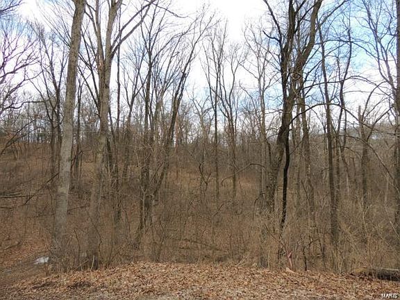 4th image of 1026 Chesterfield Forest Dr