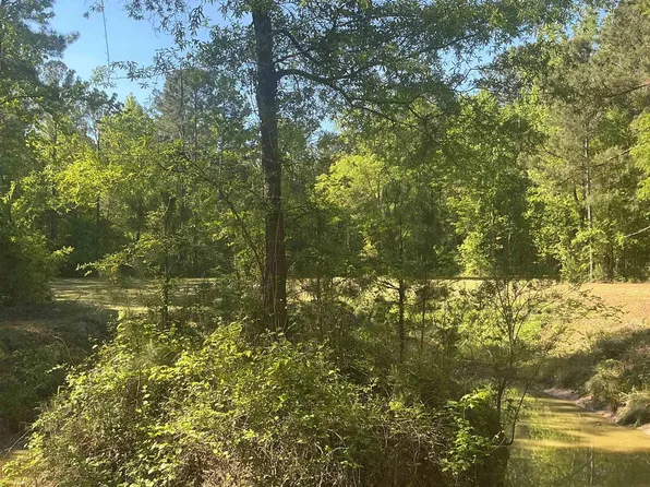 1197 Morello Rd, Manning, SC 29102