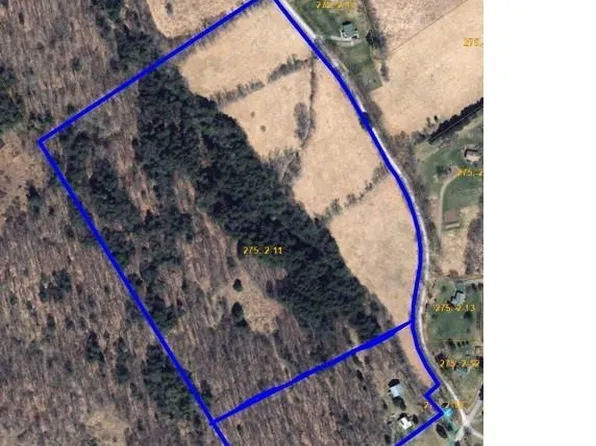 275-1-11 Budine Hill Road, Walton, NY 13856