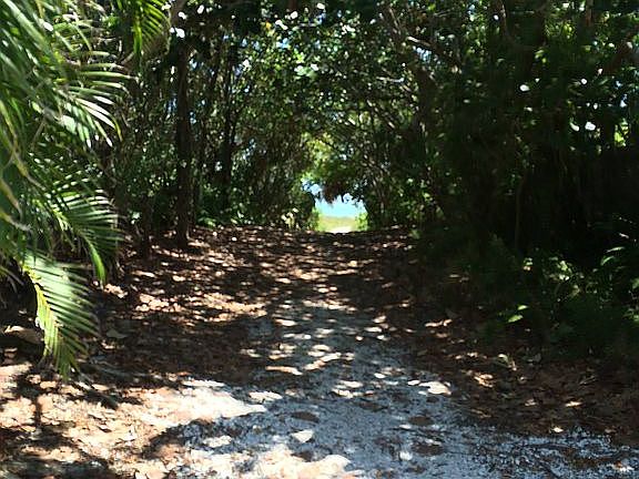 Beach Path 3