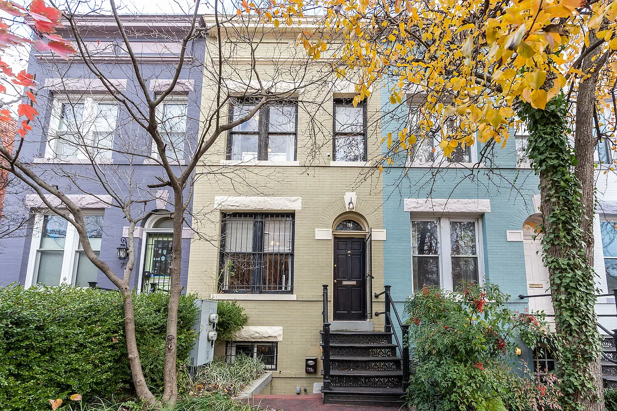 1 bed, 100 sqft, $1,250 — Photo 3