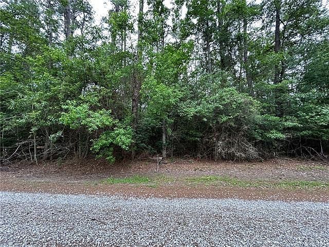 2nd image of Firetower Rd