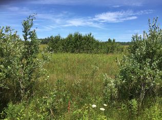 6463 Lora Bette Dr #25, Alanson, MI 49706