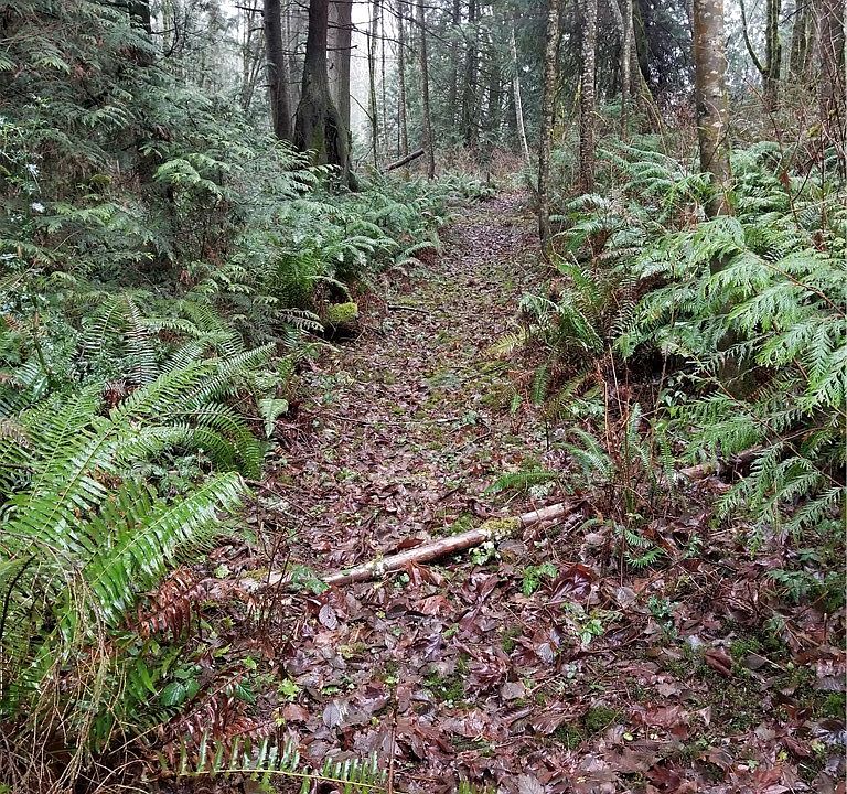 1st image of 7338 NE St Hwy 104