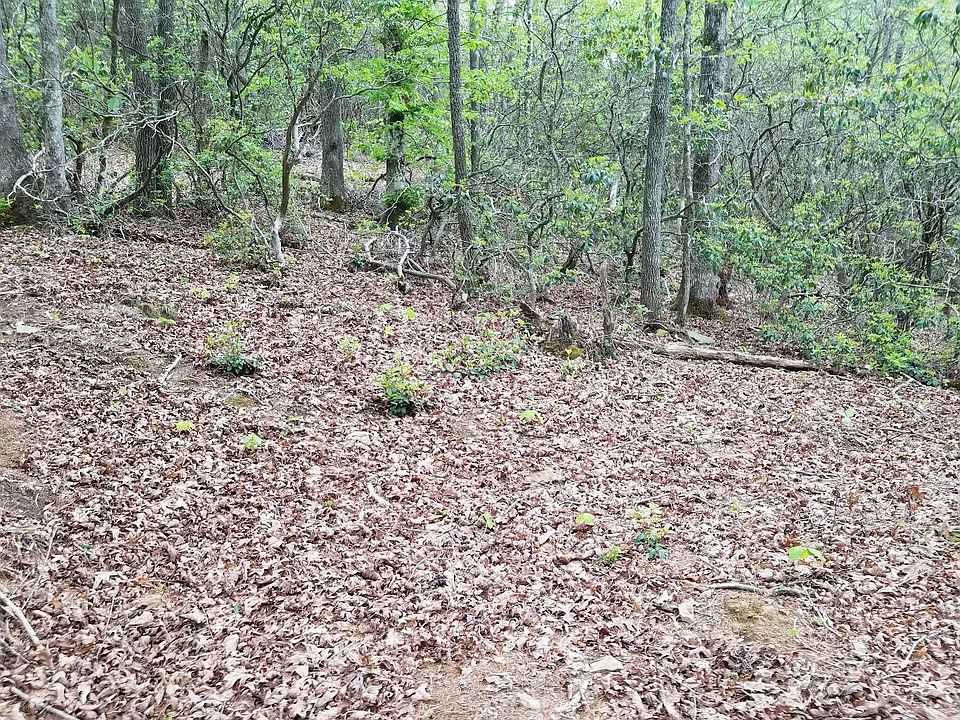 2nd image of LT Three 4 Bearmeat Creek Vlg
