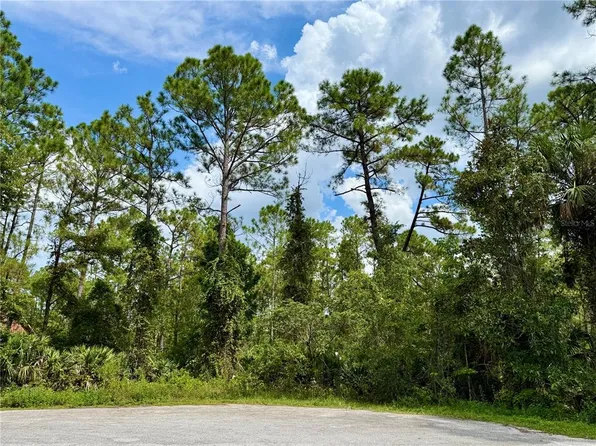 LOT 3 Tamarac St Lot 3, Eustis, FL 32736