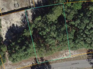 Fisher Way Trl LOT 2, Ocklawaha, FL 32179