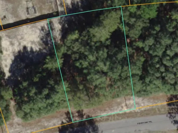 Fisher Way Trl Lot 2, Ocklawaha, FL 32179
