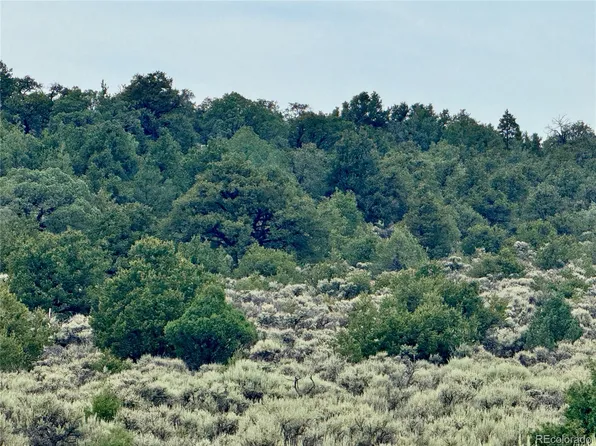 Lot 38 WildHorse Drive, San Luis, CO 81152