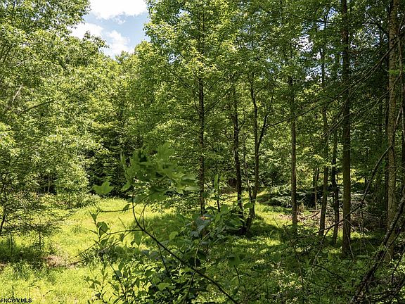 3rd image of LOT 16 Lake Island Dr