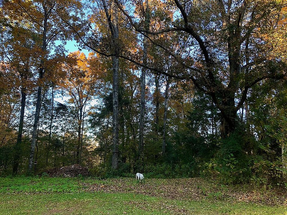 2nd image of 7030 Forest Mill Dr