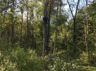 0 Dam Rd, Laurel, IN 47024