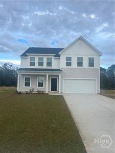 335 Palmetto Way NE, Ludowici, GA, 31316