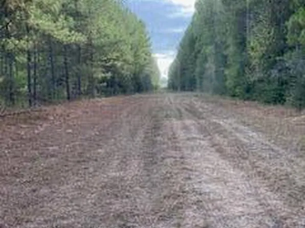 0 Tolar Rd, Oak Vale, MS 39656