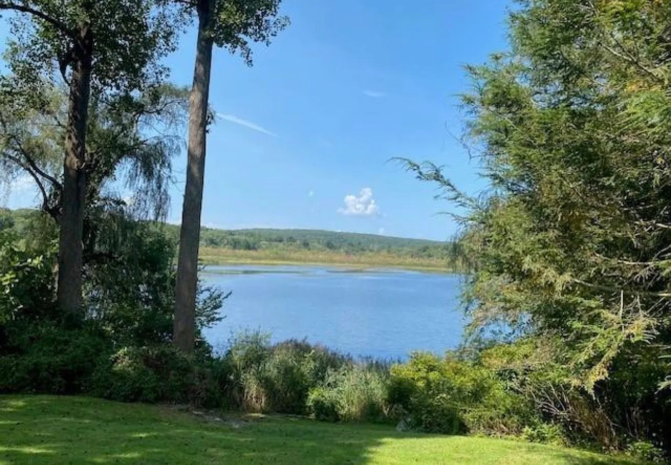4 bed, 1558 sqft, $6,950 — Photo 3