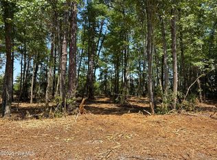 4102 Swamp Fox Highway W, Tabor City, NC 28463