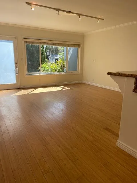 1 bed, 700 sqft, $2,550 — Photo 4