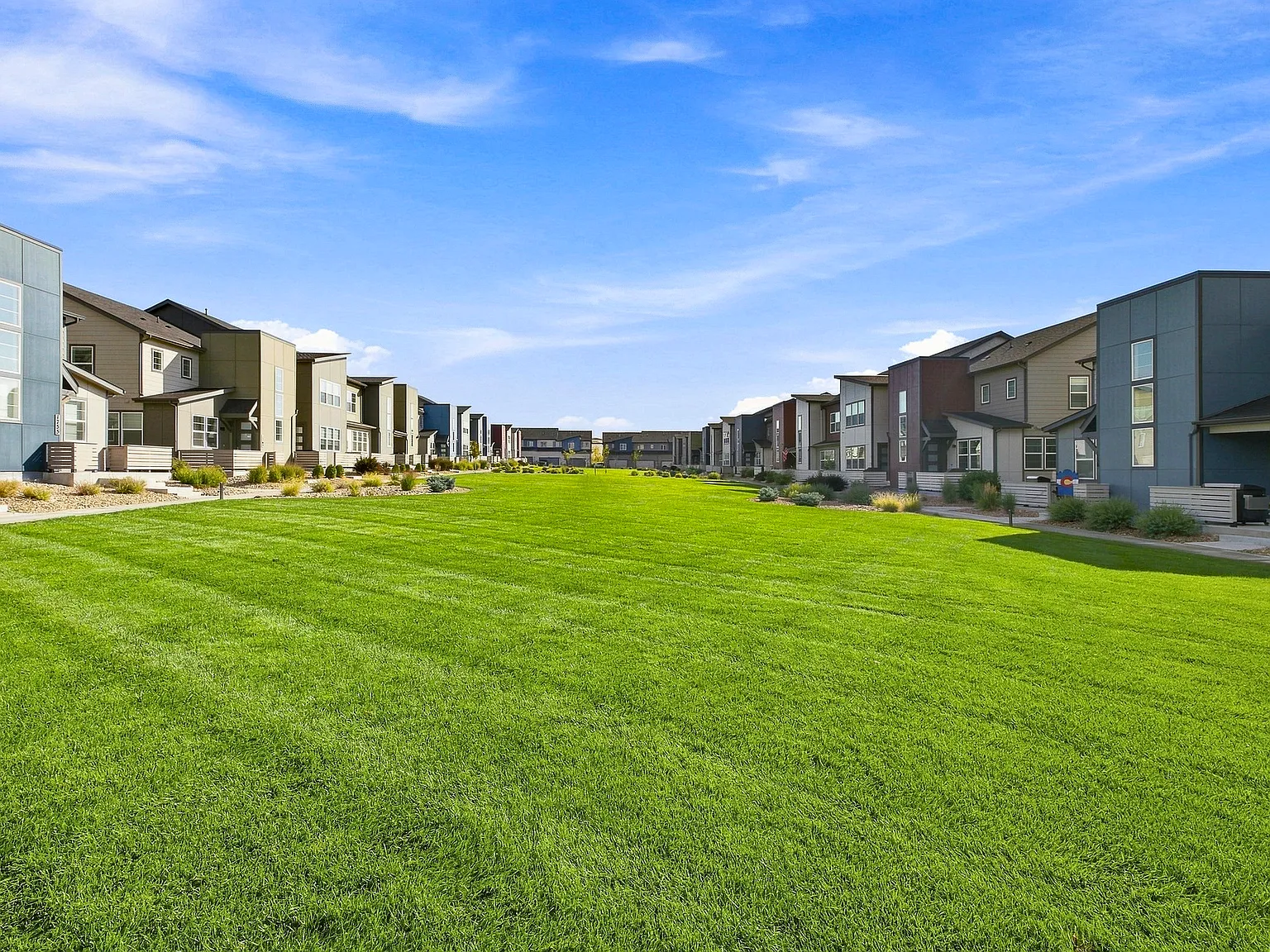 3 bed, 1601 sqft, $2,300 — Photo 3