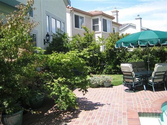 Backyard 6