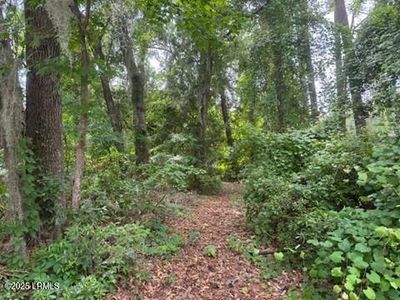 710 N Reeve Rd, Saint Helena Island, SC, 29920