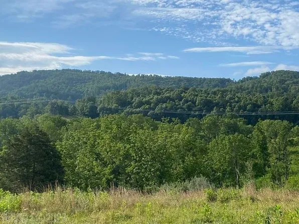 Rustic Ridge Rd, Riner, VA 24149