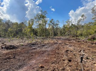 SW Mount Olive Church Rd, Greenville, FL 32331