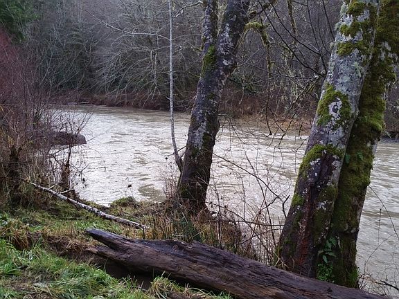 5th image of 75 Tornow Dr